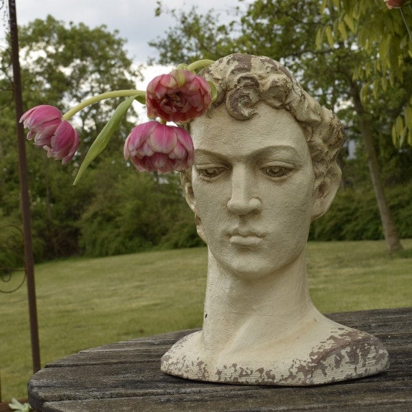 Roman Bust Planter Quirky roman-bust-planter-quirky